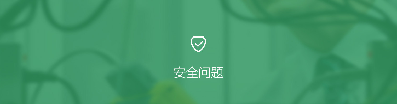 摩根娱乐官方网站图片